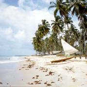 praias Praia da Gamela,Sirinhaém-Pernambuco
