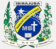 Bra~soa da Cidade Ibirajuba Bra~soa da Cidade Ibirajuba