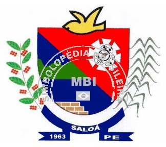 Brasão da Cidade Saloá Brasão da Cidade Saloá