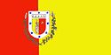 Bandeira da Cidade de Tabira Bandeira da Cidade de Tabira