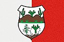 Bandeira da Cidade de Jatauba