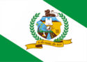 Bandeira de Bezerros