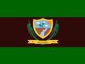 Bandeira da Cidade de Itaquitinga