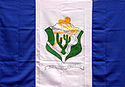 Bandeira da Cidade de Petrolina