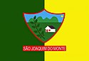 Bandeira da Cidade São Joaquim do Monte Bandeira da Cidade São Joaquim do Monte