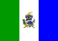 Bandeira da Cidade Floresta