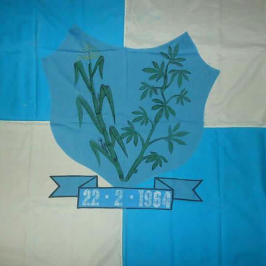 Bandeira da Cidade Paranatama Bandeira da Cidade Paranatama