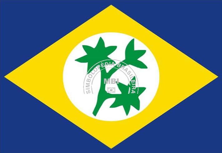 Bandeira da Cidade Freira Nova Bandeira da Cidade Freira Nova
