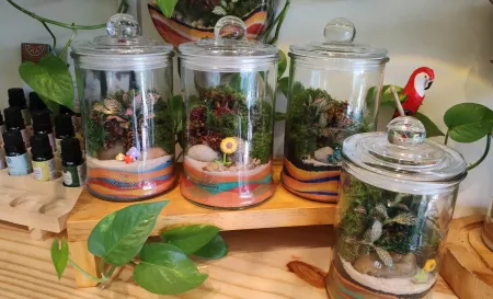 Foto interna 1 Minimundo Terrario