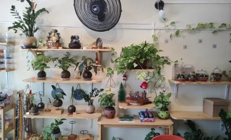 Foto interna 4 Minimundo Terrario