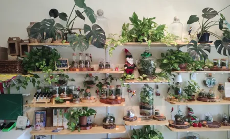 Foto interna 3 Minimundo Terrario