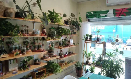 Foto interna 5 Minimundo Terrario