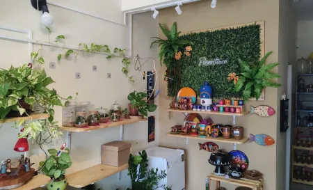 Foto interna 2 Minimundo Terrario