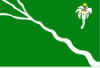Bandeira de Belo Jardim 